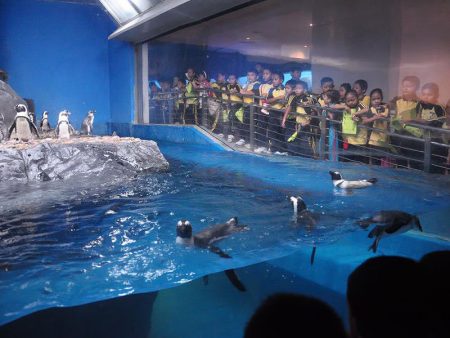 %d9%82%d9%82%d9%8215