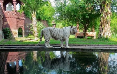 %d8%b9%d8%b9%d8%b9%d8%b9%d8%b9%d8%b916