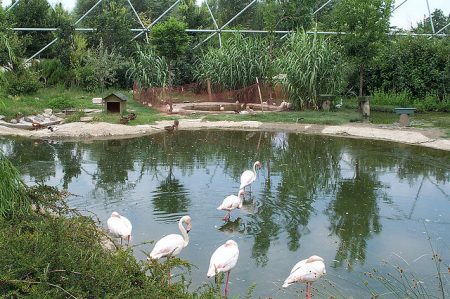 %d8%ab%d8%ab%d8%ab%d8%ab6