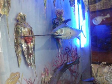 %d9%83%d9%83%d9%83%d9%83%d9%83%d9%8317