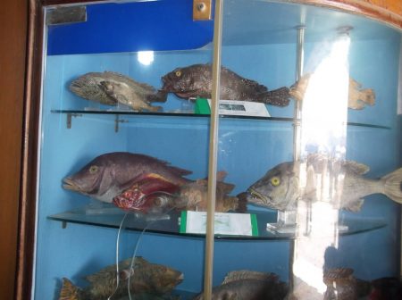 %d9%83%d9%83%d9%83%d9%83%d9%83%d9%83%d9%83%d9%8317