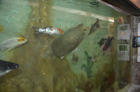 %d9%83%d9%83%d9%83%d9%83%d9%83%d9%83%d9%83%d9%83%d9%83%d9%83%d9%83%d9%83%d9%83%d9%83%d9%83%d9%83%d9%83%d9%8317