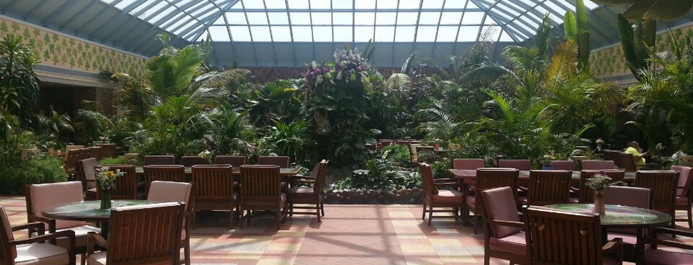 nnnnnnnnnnnnnnnnnnnnnnnnnnn16