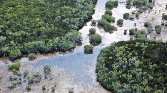 llllllllllllllllll14