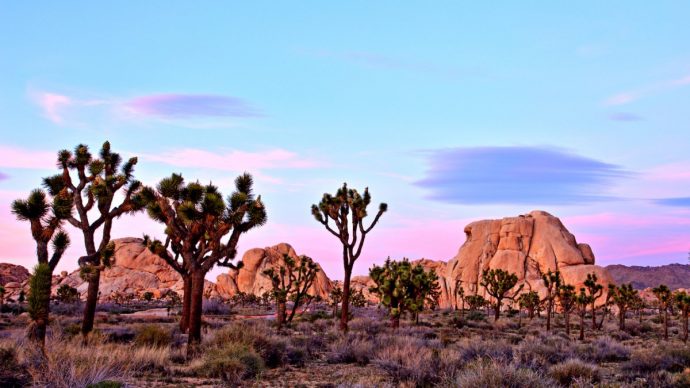 lllllllllllllllllllll14