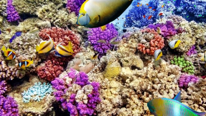 lllllllllllllllllllllllllllllll14