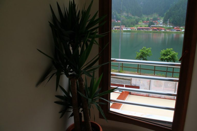 ااااااااااااا21