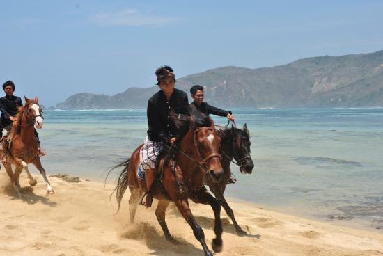 ااااااااااااا23