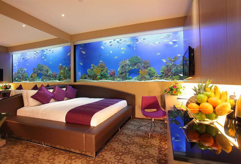 ooooooooooooooooooooooo15