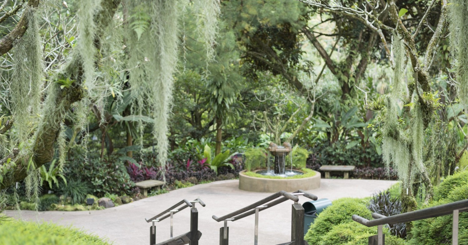 ااااااااااااااااااا30