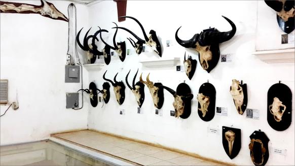 jjjjjjjjjjjjjjjjjjjjjjjjjjjjjjjjjjjjjj12