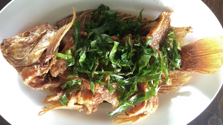 خخخخخخخخخخخ31