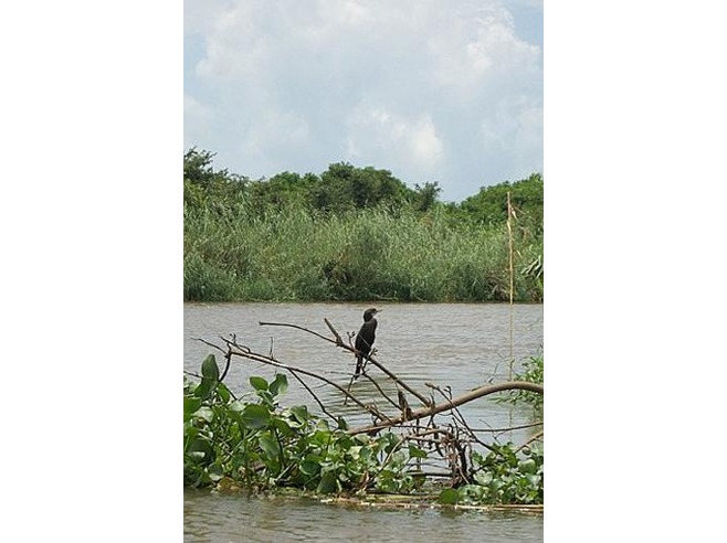 ااااااااااااا29