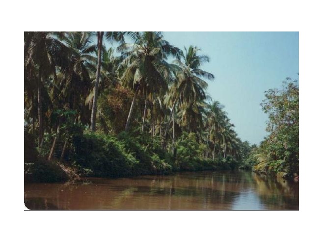 ااااااااااااااااااااااا29