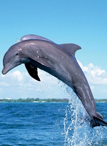 kkkkkkkkkkkkkkkkkkkkkkkkkkkkkkkkk12