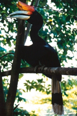 xxxxxxxxxxxxxxxxxxxxxxx21