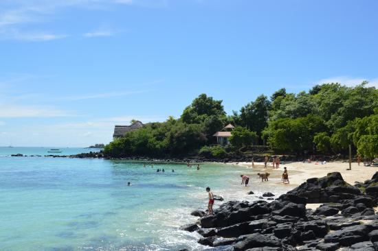 ااااااااااااااا25