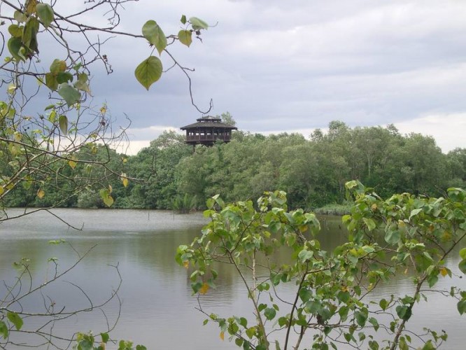 خخخخخخخخخخخ30