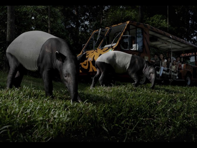 خخخخخخخخخخخخخخخخ30