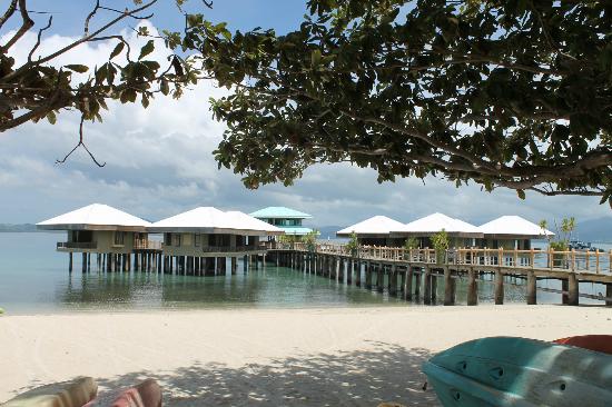 ssssssssssssssssssssssssssssss20