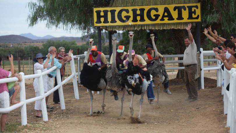 ssssssssssssssssssssssssssssssssss20