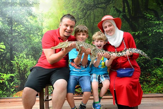 jjjjjjjjjjjjjjjjjjjj12