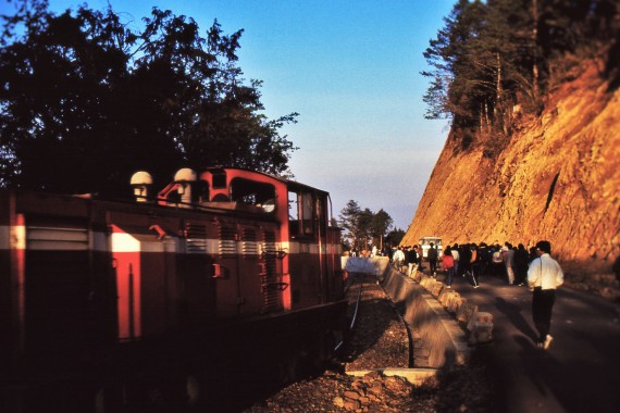 Allishan National Scenic Area