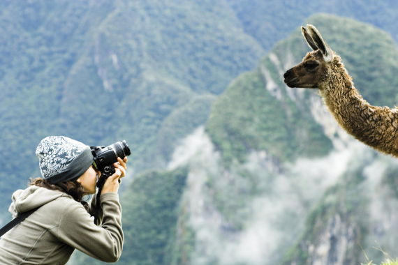 Woman taking a picture of a llama, Machu Picchu, Peru