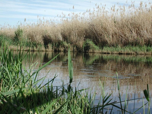 mmmmmmmmmmmmmmmmmmm15