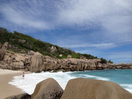 تتتتتتتتتتتتتتتتتتت26