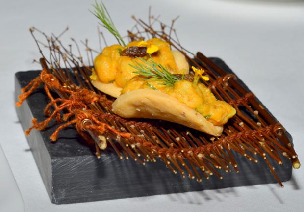 kkkkkkkkkkkkkkkkkkk12