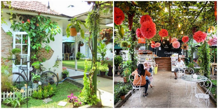 hhhhhhhhhhhhhhhhhh11